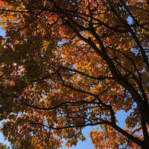 Meet your Posher, Lexi